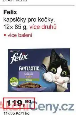 Ráj drogerie Felix kapsičky pro kočky, 12x 85 g, více druhů nabídka