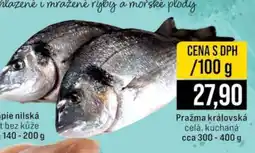 Jip Pražma královská nabídka