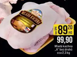 Jip MLADÁ KACHNA nabídka