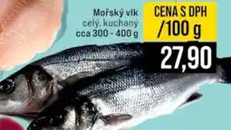 Jip Mořský vlk nabídka