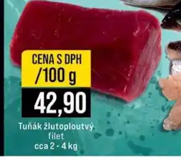 Jip Tuňák žlutoploutvý filet nabídka
