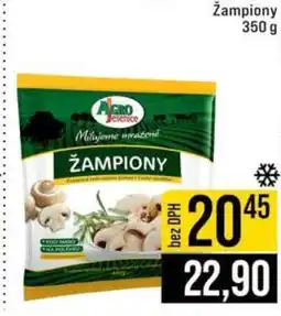 Jip Žampiony nabídka