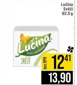 Jip LUČINA svěží nabídka