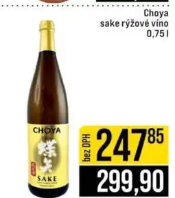 Jip Choya nabídka