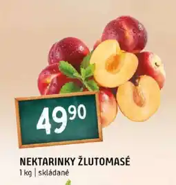 Terno Nektarinky žlutomasé nabídka