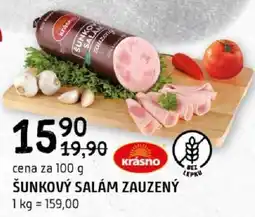 Terno Šunkový salám zauzený nabídka