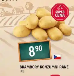 Terno Brambory konzumní rané nabídka