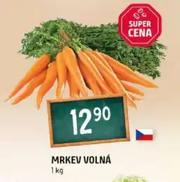Terno Mrkev volná nabídka
