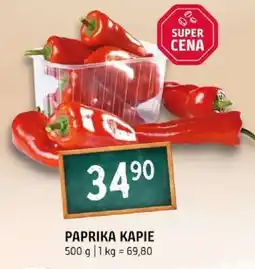 Terno Paprika kapie nabídka