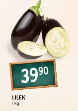 Terno Lilek nabídka