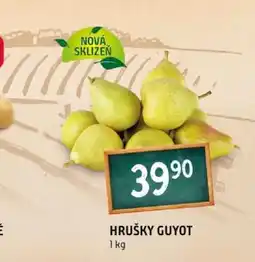 Terno HRUŠKY GUYOT nabídka