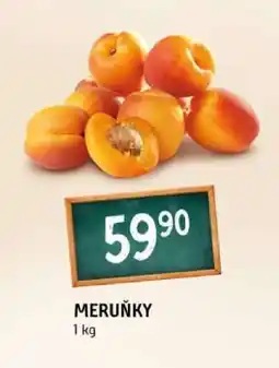 Terno Meruňky nabídka