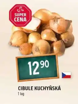 Terno Cibule kuchyňská nabídka
