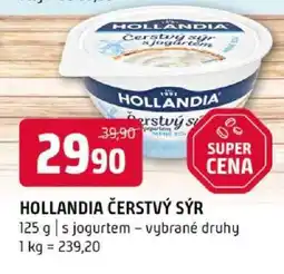 Terno Hollandia Čerstvý sýr nabídka