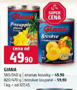 Terno Giana nabídka