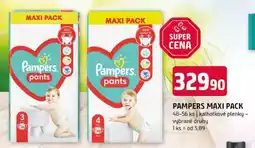 Terno PAMPERS MAXI PACK nabídka