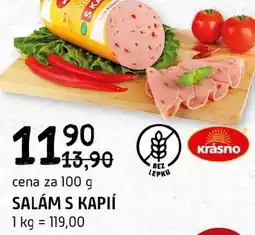 Terno Salám s kapií nabídka