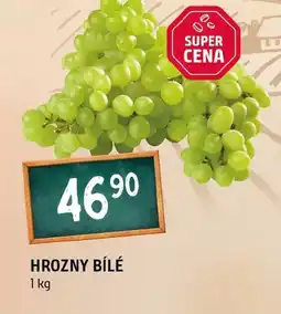 Terno Hrozny bílé nabídka