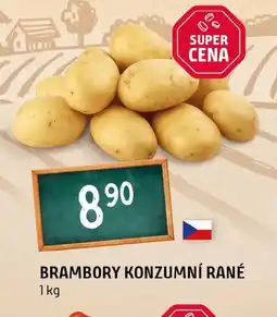 Terno Brambory konzumní rané nabídka
