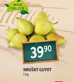 Terno Hrušky guyot nabídka
