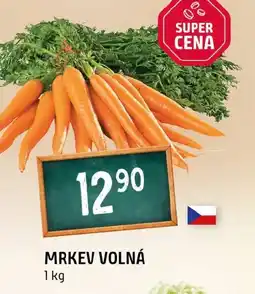 Terno Mrkev volná nabídka