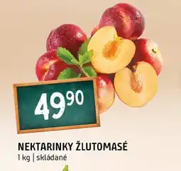 Terno Nektarinky žlutomasé nabídka