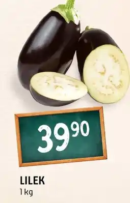 Terno Lilek nabídka