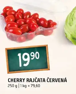 Terno Cherry rajčata červená nabídka