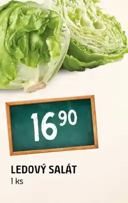 Terno Ledový salát nabídka
