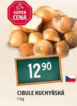 Terno Cibule kuchyňská nabídka
