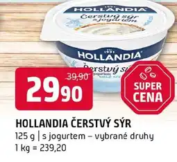 Terno Hollandia čerstvý sýr nabídka