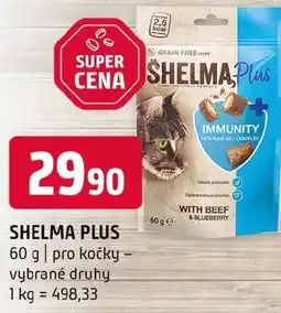 Terno Shelma plus nabídka