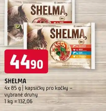 Terno Shelma nabídka