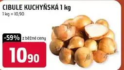 Terno Cibule kuchyňská nabídka