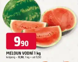 Trefa Meloun vodní nabídka