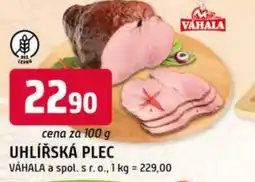 Trefa Uhlířská plec nabídka