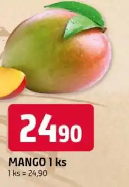 Trefa Mango nabídka