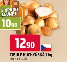 Trefa Cibule kuchyňská nabídka