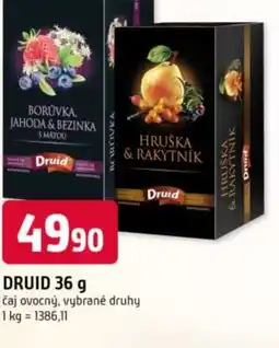 Trefa Druid nabídka