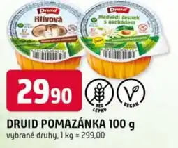 Trefa Druid pomazánka nabídka