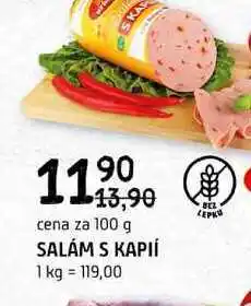 Terno Salám s kaplí 100g nabídka
