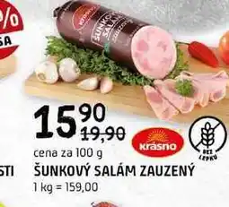 Terno Šunkový salám 100g nabídka