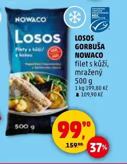 Penny Market NOWACO Losos gorbuša nabídka