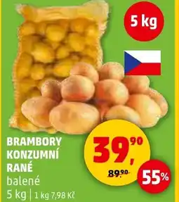 Penny Market Brambory konzumní rané nabídka