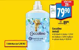 Albert Coccolino Aviváž nabídka