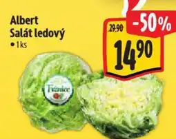Albert Albert Salát ledový nabídka
