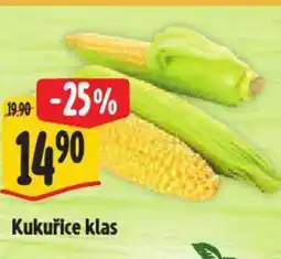 Albert Kukuřice klas nabídka