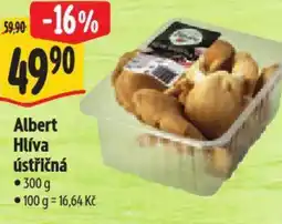Albert Albert Hlíva ústřičná nabídka