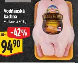 Albert Vodňanská kachna nabídka