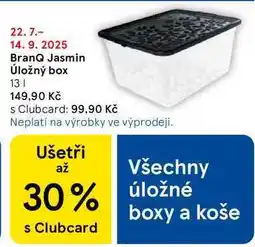 Tesco BranQ Jasmin Úložný box, 13 l nabídka